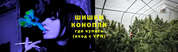 гидропоника Рославль