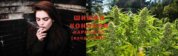 крисы Россошь