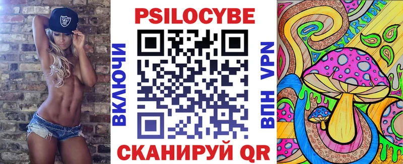 купить наркотик  Снежногорск  Галлюциногенные грибы мицелий 